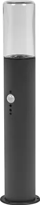A dark gray outdoor lamp with a clear glass top, shown against a white background.