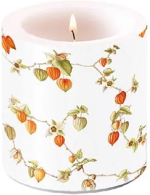 Productafbeelding van Lantaarnkaars, als stompkaars, 9 cm hoog, met een motief van Physalis (goudsbloem)