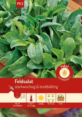 Artikelbild 1 von 'Feldsalat Holländischer breitblättriger' aus der Kategorie Feldsalatsamen