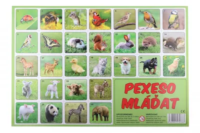 Produktbild von Pexeso mláďata fotografie