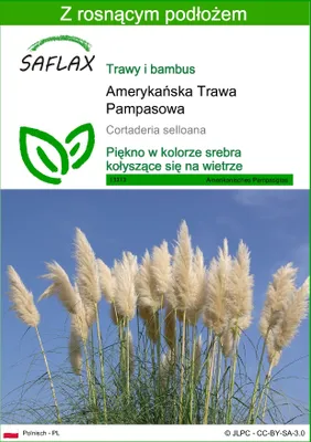 Zdjęcie produktu dla SAFLAX - Amerykańska Trawa Pampasowa - 200 Nasiona - Z podłożem uprawowym wolnym od zarazków - Cortaderia selloana