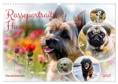 Produktbild von Rasseportraits - Hunde (Wandkalender 2027 DIN A3 quer), CALVENDO Monatskalender