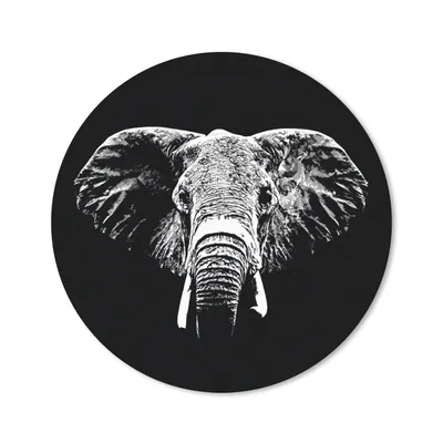 Produktbild von MuchoWow® Mauspad Mousepad Elefant - Tiere - Schwarz - Weiß 20x20 cm - Mousepads - Maus Mat - Pad - Mausunterlage - Schreibtischmatte