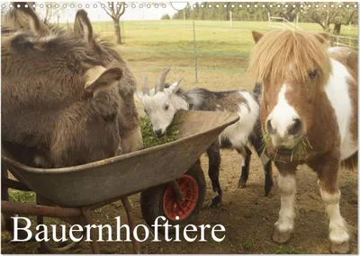 Produktbild von Bauernhoftiere (Wandkalender 2025 DIN A3 quer), CALVENDO Monatskalender