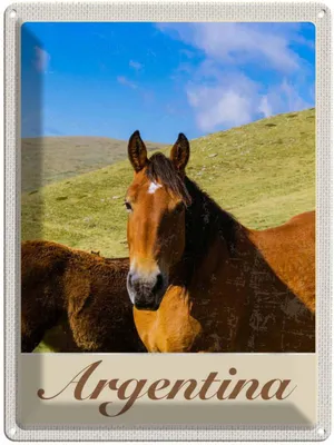 Produktbild von vianmo Blechschild 40x30 cm Argentinien Wiese Pferde Bildmotiv Reisemotiv Abenteuer Reisen Amerika USA Urlaub