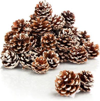 Imagen del producto de 30 piñas blancas, piñas para decoración navideña