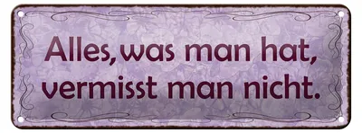 Produktbild von Blechschild Spruch 27x10cm alles was man hat vermisst nicht Dekoration