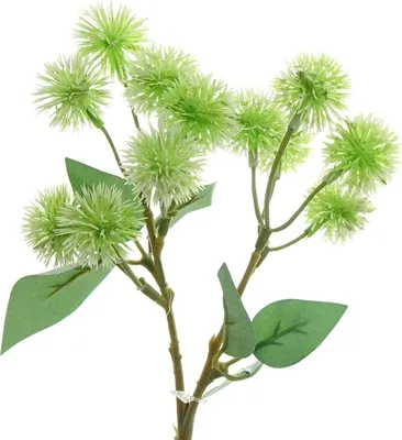 Produktbild von GASPER Fruchtstand Distelzweig Grün 40 cm - Kunstblumen