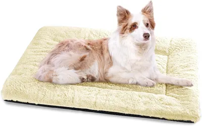 Obrázok produktu pre Pelech pre psov 106 x 71 cm, béžová, bavlnený flíz, protišmyková spodná strana, pre psov