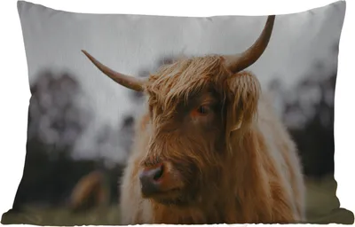 Produktbild von MuchoWow® Outdoor Kissen - Schottisches Hochlandrind - Tiere - Hörner - 60x40 cm - Wetterfest - Lounge Kissen - Zierkissen - Kissen für Innenräume