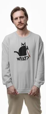 Produktbild von D&B Design Uni Pullover SWEB00014 What HellGrau-Größe 2XL