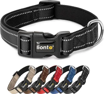 Produktbild von lionto Hundehalsband reflektierend, gepolstert & verstellbar aus Nylon und Neopren, (S) verstellbare Länge 30-40 cm, schwarz