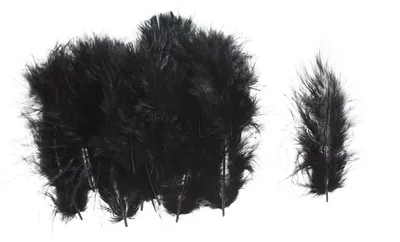 Produktbild von Marabufedern, ca. 15 Stück Schwarz