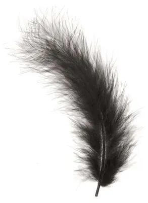 Produktbild von Glorex Marabufedern schwarz ca. 15 Stück