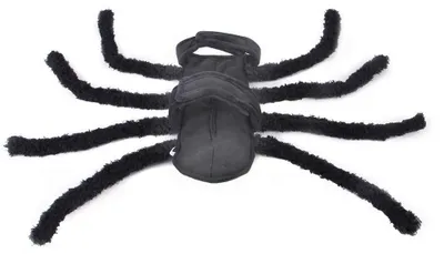 Produktbild von 2 Halloween-Kostümaccessoires für Haustiere