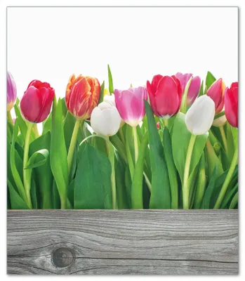 Produktbild von Wallario Herdabdeckplatte aus Glas, Größe 52 x 60 cm 1-teilig, Motiv Rote  weiße und pinke Tulpen im Frühling