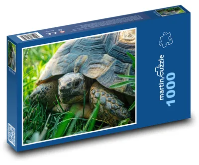 Zdjęcie produktu dla Puzzle 1000 Żółw na łące - martinpuzzle