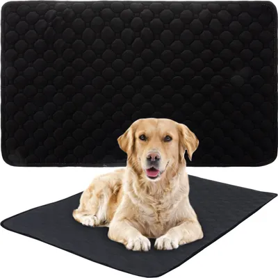 A golden retriever dog lying on a black training pad, with another black training pad behind it.