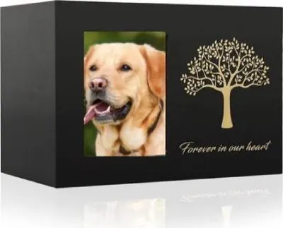 A black pet urn with a photo frame and decorative tree and text.
