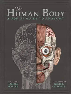 Immagine prodotto di The Human Body