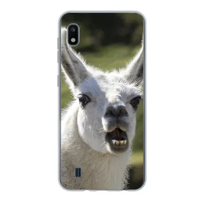 Produktbild von MuchoWow® Handyhülle Schutzhülle Hülle für Samsung Galaxy A10 Lama - Lustig - Kinder - Jungen - Mädchen - Kinder Silikon Softcase Handy Hülle - Schutzhülle