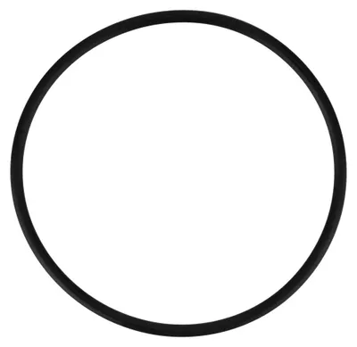 Produktbild von Pentek Dichtung 151121 O-Ring für Slim Line Filtergehäuse