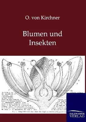 Produktbild von Blumen und Insekten