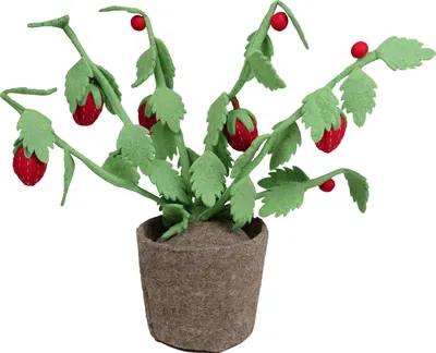 Produktbild von KidsDepot Pflanze - Strawberry - Grün - H 56 cm | KidsDepot