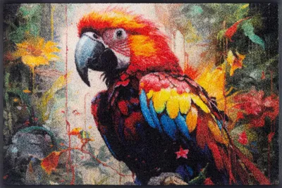 Produktbild von Fußmatte wash+dry Design Parry McParrot 50x75 cm