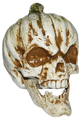 Produktbild von Kürbis Totenkopf Figur als Tischdekoration 21 cm