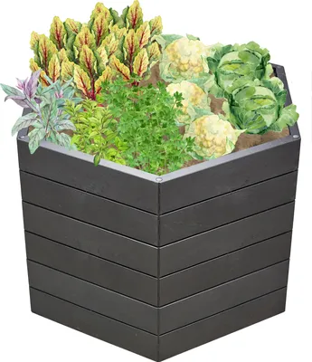 Produktbild von GARANTIA ERGO Hochbeet Stony L 75
