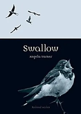 Obrázek produktu pro Turner, A: Swallow