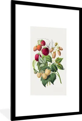 Produktbild von MuchoWow® Gerahmtes Poster Himbeeren - Obst - Lebensmittel 60x90 cm - Poster mit Schwarzem Bilderrahmen Wandposter Rahmen Foto Bilder - Dekoration - Wandposter Wohnzimmer - Hochwertig