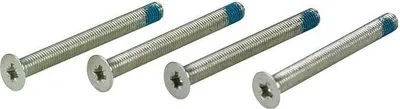 Immagine prodotto di Set di viti diametro 4 mm in acciaio nichelato M4x75mm