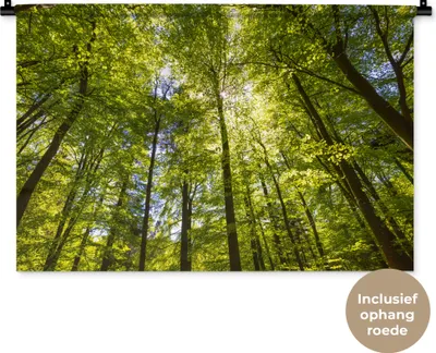 Produktbild von MuchoWow® Wandteppich Wandbehang Wald - Sommer - Laub 90x60 cm Tapisserie Dekoration Wandtuch - Wandskulpturen - Bildteppich