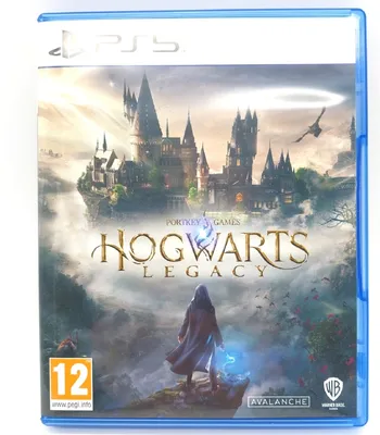 Produktbild von Warner Bros Hogwarts Legacy Standard PlayStation 5