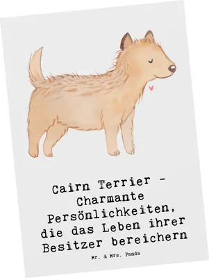 Produktbild von Mr. & Mrs. Panda Postkarte Cairn Terrier - Weiß - Geschenk, einzelkarte, Grußkarte, Fotokarte, Ansichtskarte, Hunderasse, Hunderassen Eigenschaften, Familienhund, Hund