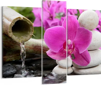 Produktbild von Bild auf Leinwand - Leinwandbild - Orchidee Bambus Dekoration Spa - 95x80cm - Wand Bild - Wanddeko - Leinwanddruck - Bilder - Kunstdruck - Wanddekoration - Leinwand bilder - Wandkunst - CB95x80-2666