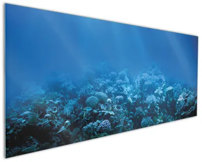 Produktbild von Wallario Küchenrückwand aus Glas, Größe: 125 x 50 cm, Motiv: Unterwasserwelt Meer | Spritzschutz | abwischbar | pflegeleicht | in