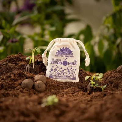Produktbild von Seedbombs Schmetterlingswiese