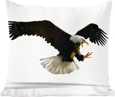 Produktbild von MuchoWow® Zierkissen Sofakissen Wohnzimmer Dekokissen 50x50 cm Adler - Vogel - Weiß - Komfort - Sofakissen
