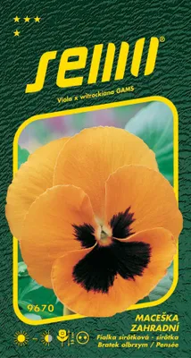Produktbild von Samen -  Stiefmütterchen orange mit einem Auge