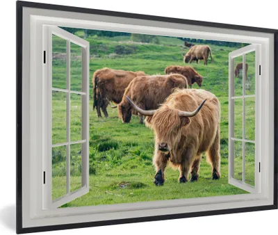 Produktbild von MuchoWow® MuchoWow® Gerahmtes Poster Ansicht - Gras - Schottisches Hochlandrind 30x20 cm - Poster mit zchwarzem Bilderrahmen - Kunstdruck - Bild-Poster