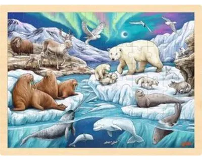 Produktbild von Einlegepuzzle Polarnacht