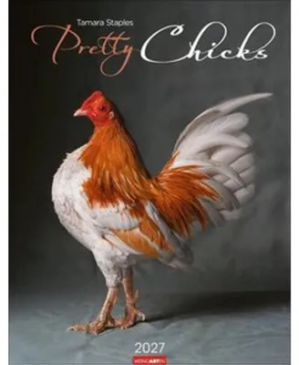 Immagine prodotto di Calendario Pretty Chicks 2027
