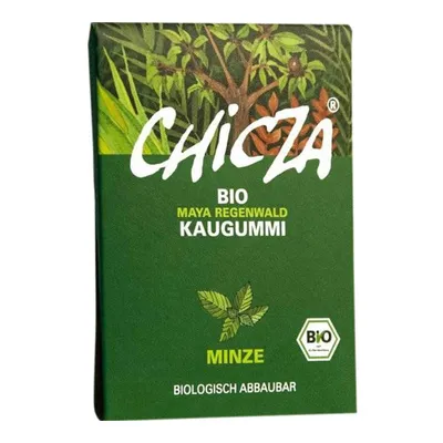 Image de Chewing-gum - Menthe 30g