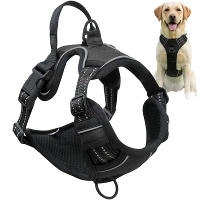 Produktbild von Hundegeschirre, Anti-Zieh-Geschirr, Anti-Zieh Hundegeschirr mit Step-in Design – Atmungsaktiv & Gepolstert – Für entspanntes Spazierengehen (M)