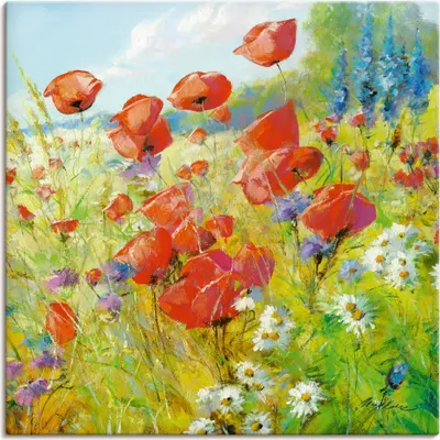 Produktbild von ARTland Leinwandbild Sommerwiese mit Mohnblumen Größe: 50x50 cm