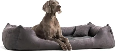 Produktbild von tierlando MORITZ SOFT Hundebett Hundesofa M - XXL 90 110 130 160 cm - Größe: 110x90cm | Farbe: 02 Graphit