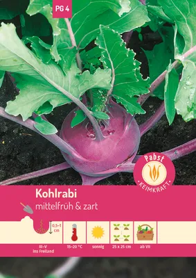 Produktbild von Pabst Keimkraft - Kohlrabi mittelfrüh & zart Delikateß blauer Samen - 171225